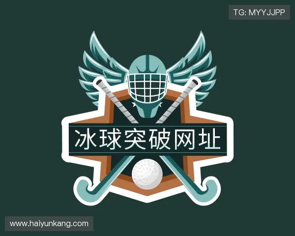 解读冰球突破网址